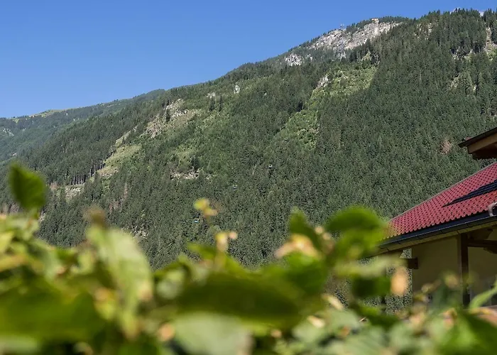 Volgger Daire Mayrhofen